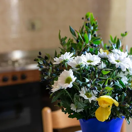 Simona Vista Mare Fetovaia